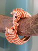 Zebra Kiss Bangle