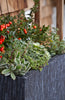 CRUST RECTANGLE PLANTER