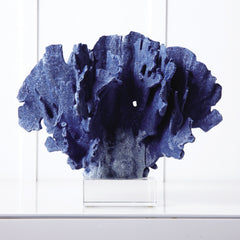 BLUE CORAL SCULPTURE ON GLASS BASE