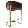 Calvin Top Grain/Hide/Antique Brass Barstool