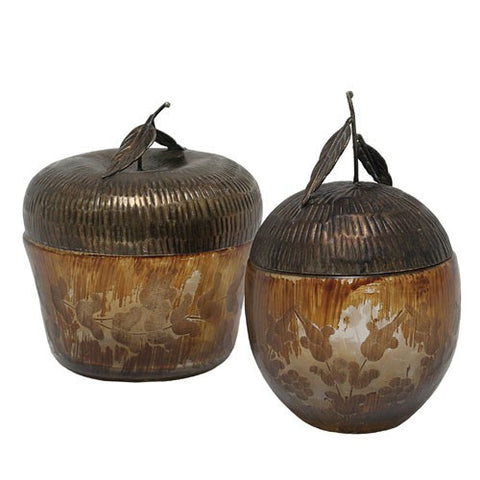 Picture of Acorn Box Set