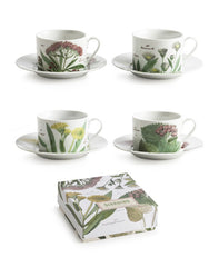 Giardino Cup and Saucer (set of 4)