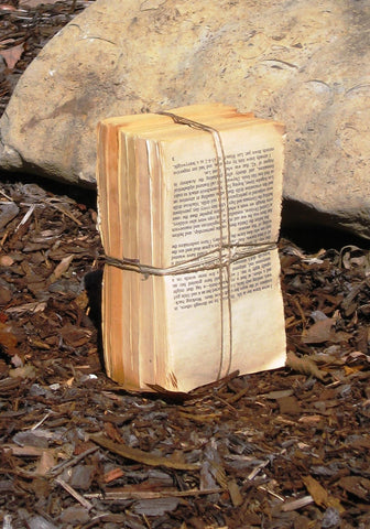 Picture of Weathered Words - Puddle Bundles
