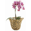 Alma Porcelain Perforated Container