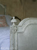 Antique White Bed
