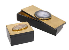 CARINA BOX COLLECTION