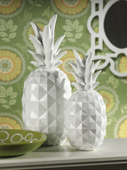 Zanzibar Decorative Pineapples