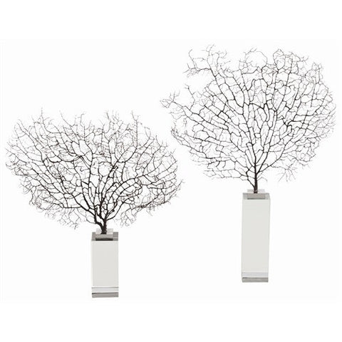 Picture of Corinne Sea Fan Coral/Acrylic Sculpture