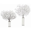 Corinne Sea Fan Coral/Acrylic Sculpture