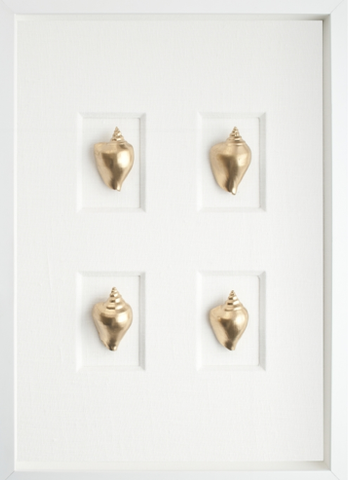 Picture of Gold Conch Shells