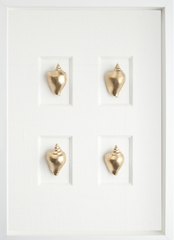 Gold Conch Shells
