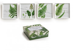 L'Orangerie Plates